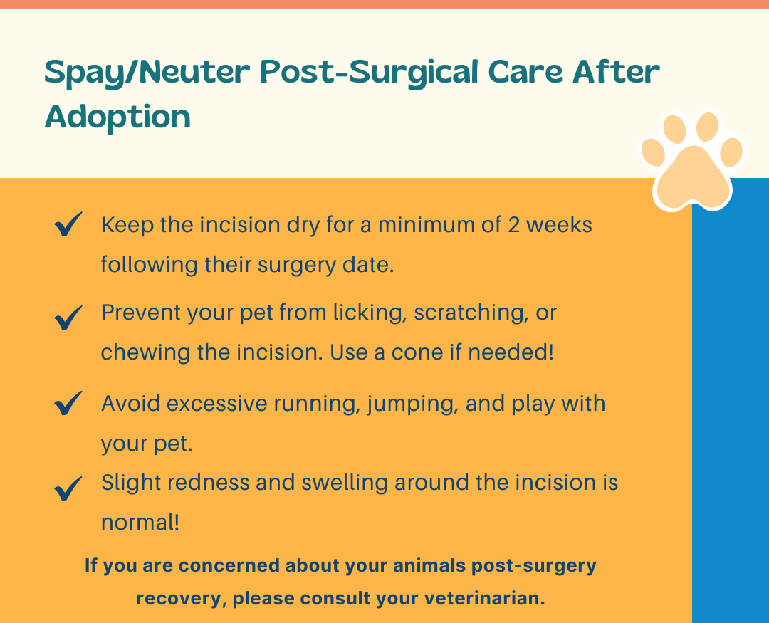 spay neuter