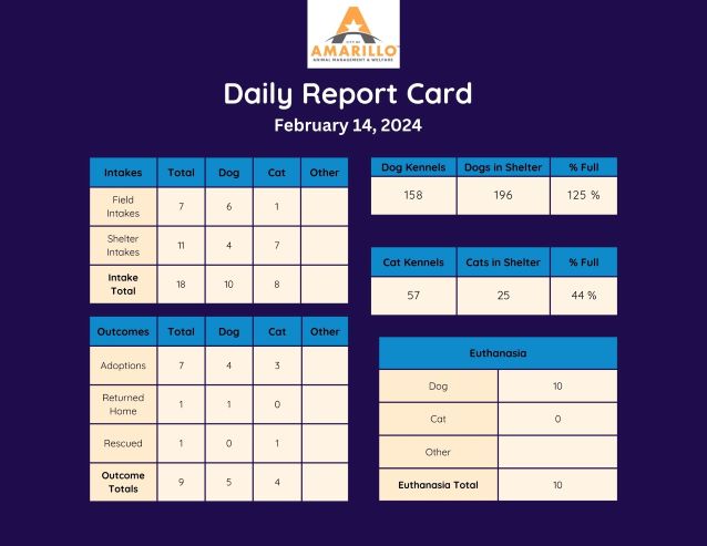 02-15-24 Daily Report Card