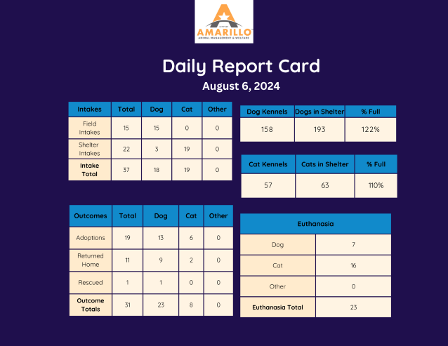 Daily Report Card 08.06.24 (2)