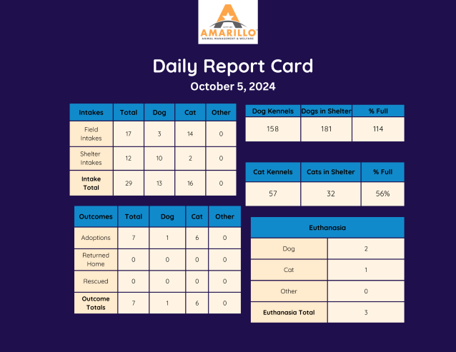 Daily Report Card (27)2